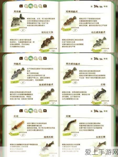 剑网3五碗门客获取攻略，解锁强力伙伴，驰骋江湖不是梦！