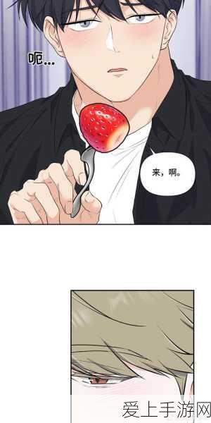 阴阳师高手秘籍，轮回秘境最优路线选择与实战策略大揭秘