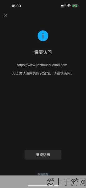 不良网站窗口:请谨慎访问不良网站,保护网络安全与个人隐私。