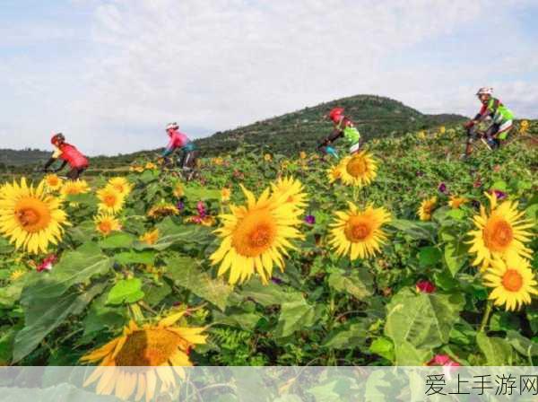 手游界跨界新动作，蔚来汽车科技豪掷180亿增资，手游领域或将迎来新变革？