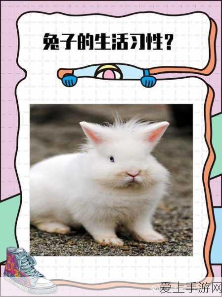 江南百景图苏州府探险开启时间大揭秘，探险玩法全攻略