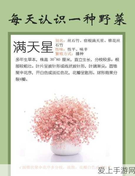 O互联应用震撼登陆AppStore，革新体验，重塑手游互动新纪元