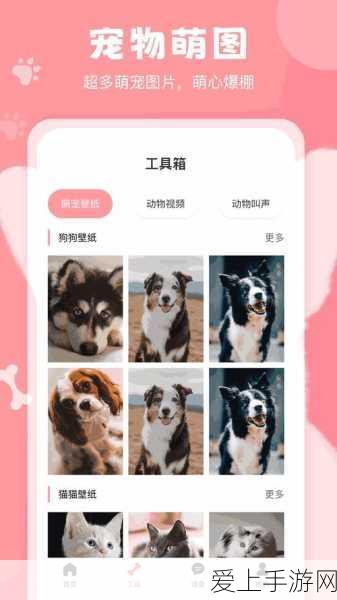 仙境传说RO手游，揭秘极速升级秘籍，打造高效成长新篇章