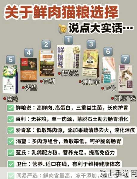 生化危机4手机版，轻松设置中文，畅玩恐怖冒险之旅教程