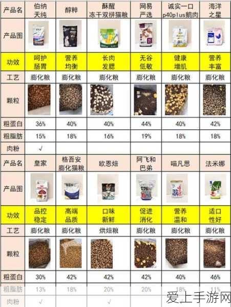 冈布奥试炼巅峰，不思议迷宫王子冈布奥全攻略，速通五星挂证试炼迷宫