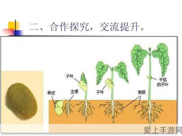 原神探秘，古老旅店与宝箱位置全攻略