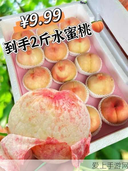 天涯明月刀手游，揭秘柳扶风天命结局全攻略，助你解锁三大不同宿命