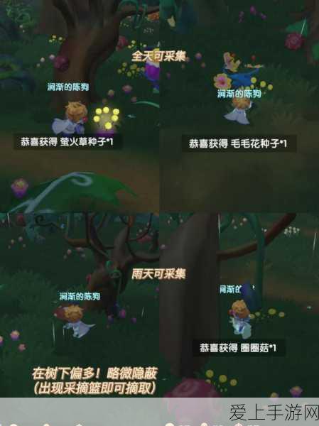 射雕手游珍稀白额雁蛋获取全攻略及最新赛事动态