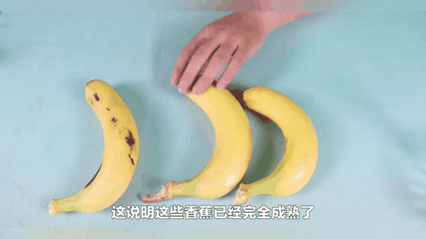 和平精英钓鱼大赛开启，揭秘鱼竿获取攻略，赢取豪华游戏礼包！