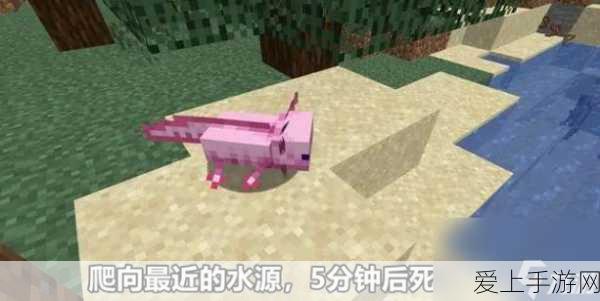 鸣潮手游新版本黎那汐塔篇盛大启航，解锁未知纪元，探索全新冒险篇章