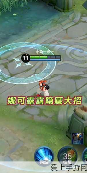 王者荣耀深度解析,娜可露露大招二段效果揭秘及实战应用