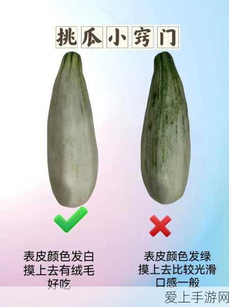 17c.com黑料吃瓜:揭示17c.com背后的黑料真相,吃瓜群众请注意!
