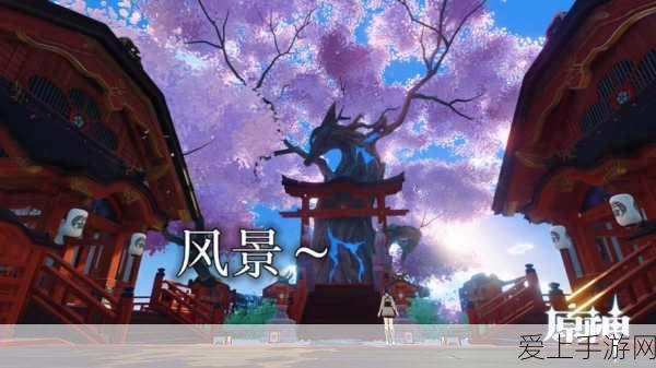烟雨江湖女号免伤攻略，打造无敌防御的秘诀