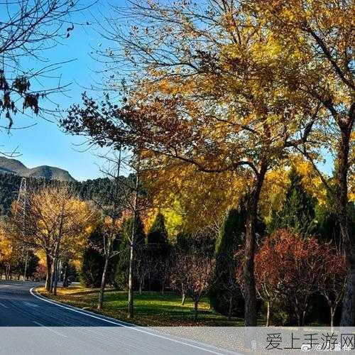 揭秘江南百景图，古风模拟经营游戏的魅力所在