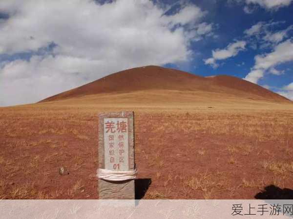 手游竞技新挑战，探索谐振回路奥秘，解锁电竞新篇章
