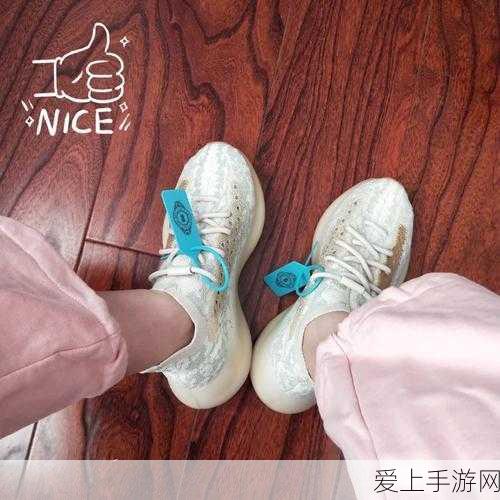 倩女幽魂手游，顶尖甲士灵兽搭配攻略与性格选择秘籍