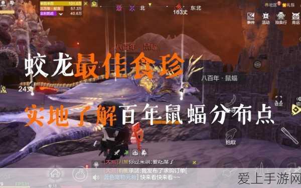 洛克王国手游公测时间大揭秘，你准备好了吗？