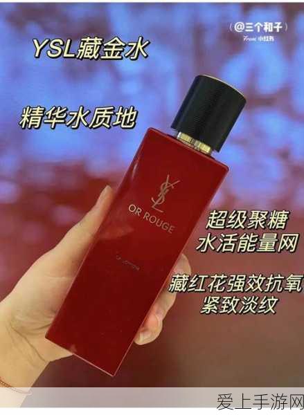 刀剑神域黑衣剑士王牌，顶尖攻略揭秘，王牌伙伴搭配与深度玩法全览