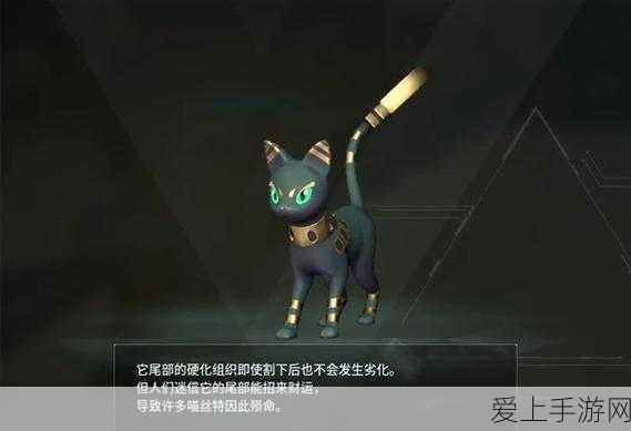 幻兽帕鲁鲁米儿全图捕捉攻略,揭秘稀有幻兽的藏匿之地