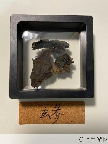 新月同行抽卡攻略，揭秘保底机制，助你精准捕获心仪角色