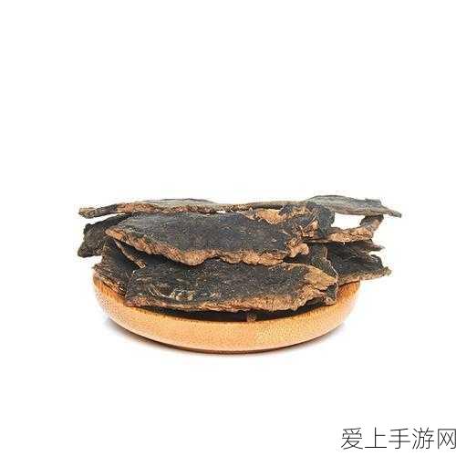 万国觉醒策略新高度，曹操玩法全解析与天赋加点攻略