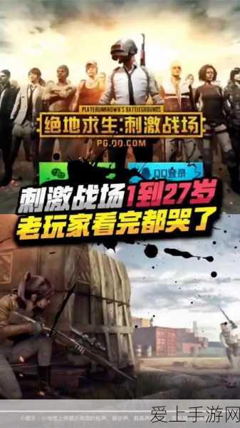 绝地求生战场,揭秘外国玩家对中国玩家的态度之谜