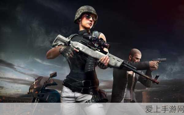 绝地求生战场,揭秘外国玩家对中国玩家的态度之谜