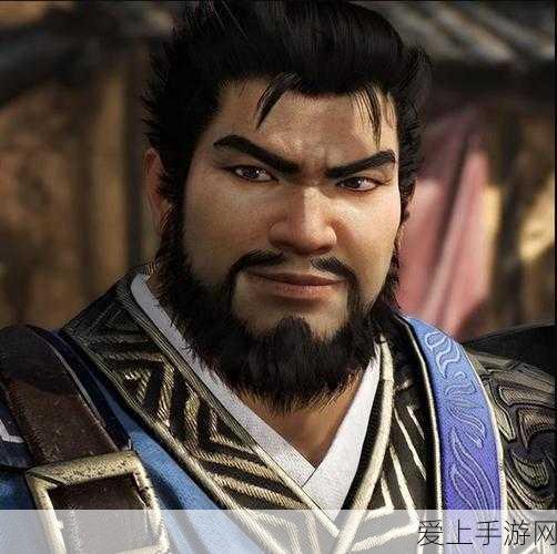 真三国无双鲁肃家富于财:真三国无双:鲁肃家族的财富与智慧传奇