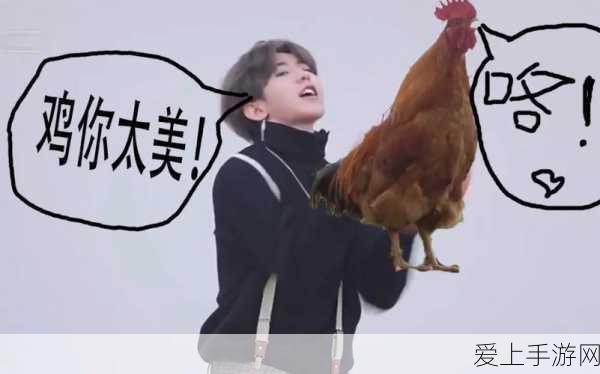 王者荣耀独家揭秘，如何获取好兄弟帮帮我语音包，助力峡谷征战？