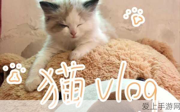 手游未来新趋势？机器人技术助力，2024年全球出货预计达4700万台！