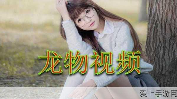 LOL 手游锤石符文攻略，制霸战场的关键秘诀