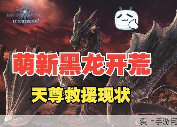 烟雨江湖探秘，苍狼门详尽攻略与隐藏路径揭秘