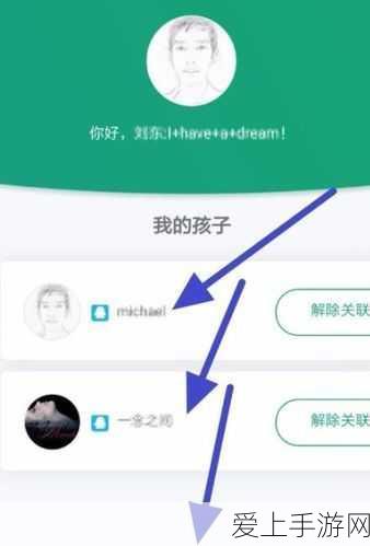 原神新角色九条裟罗，技能特效深度剖析与实战应用指南