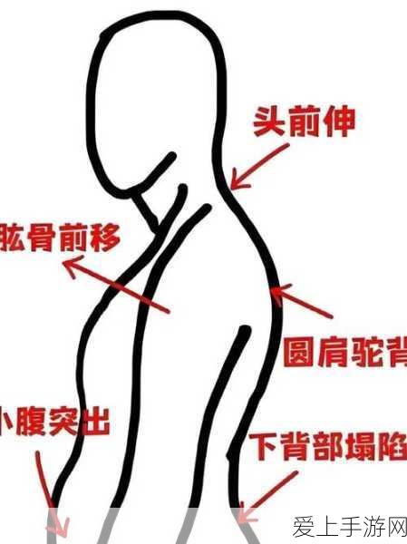 剑之华章策略手游，无敌阵容搭配秘籍大公开