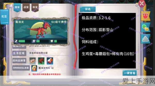 暗黑剑侠第 30 章，极限通关秘籍大揭秘