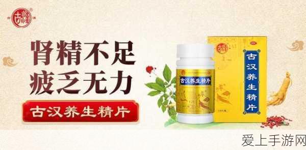 风云岛行动，全面解析护盾获取攻略与实战应用