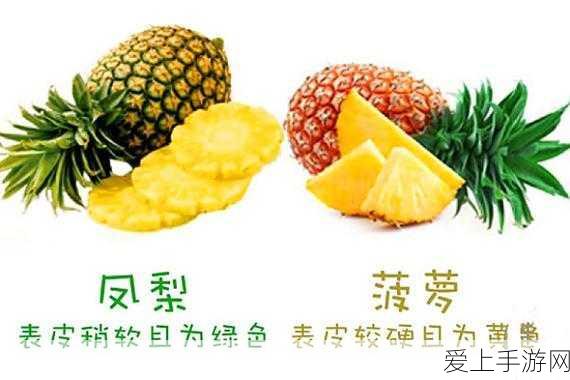 经典重塑，航海梦再启！大航海时代4威力加强版手机移植版震撼登陆