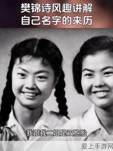 保卫萝卜4深度攻略，揭秘秋妃传第29关满分通关策略