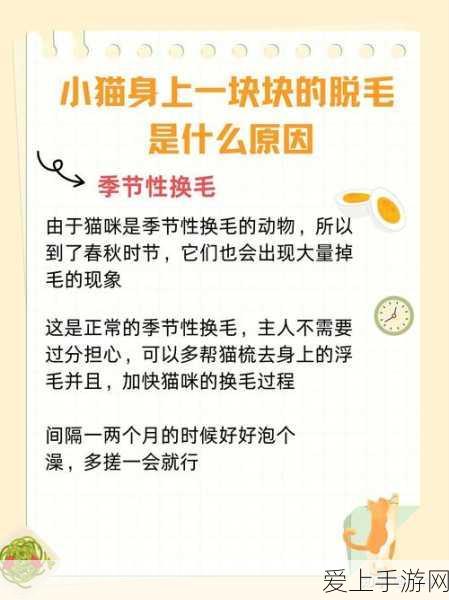探秘原神瑶光滩，珍稀宝藏位置全揭秘及寻宝攻略