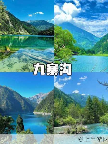 手游市场新趋势，高能耗下的价格坚守，未来走向何方？