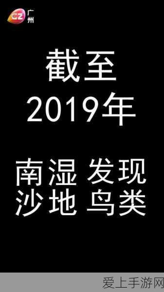 DNF手游女圣职者职业热度解析，当前版本谁最闪耀？