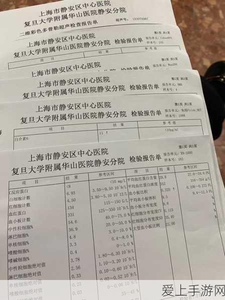 倩女幽魂手游红包速抢攻略，揭秘高效抢夺技巧与丰厚奖励