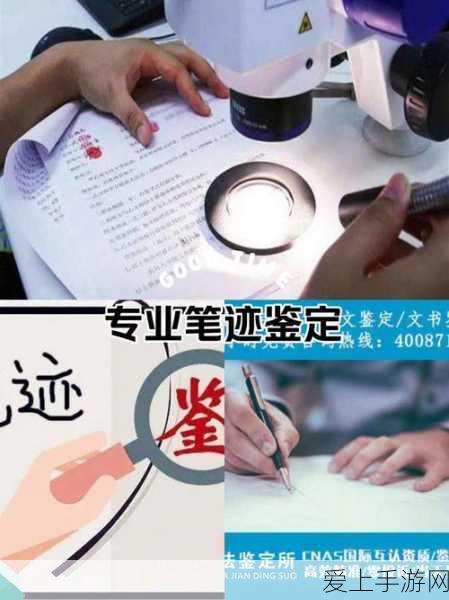 哈利波特魔法觉醒，全面掌握大师卡牌更换技巧，解锁战斗新境界