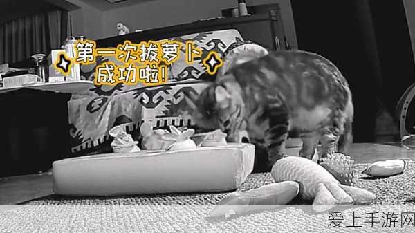 年轻人为何频遭痛风侵袭？揭秘手游玩家健康隐患