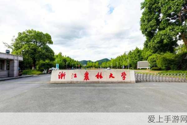 浙农林大学夏婧茹:浙农林大学夏婧茹:追求卓越,勇攀学术高峰的典范