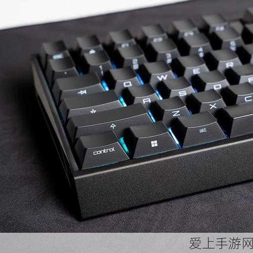王者荣耀暃全新埋骨钱皮肤震撼登场，细节亮点全解析