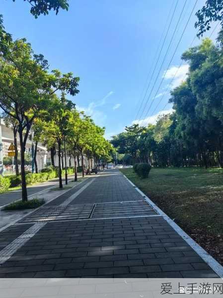 鹿子言疫情期间你且听风吟:疫情之下,静谧时光中听风吟的思绪与感悟