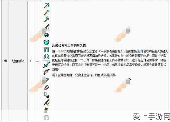 我的世界全新附魔诅咒效果深度攻略,解锁隐藏属性,挑战极限生存!