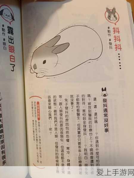 影之刃3技能大比拼，绝影VS炽刃，谁才是技能之王？