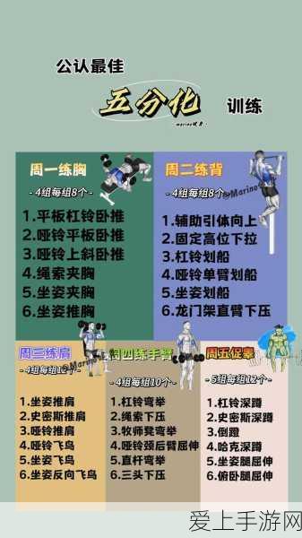 一起操17c.14:拓展操17c.14:从基础到进阶,全面提升健身效果的训练计划